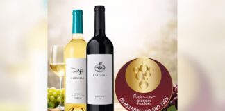 Vinhos da Herdade da Cardeira entre os melhores de Portugal em 2025