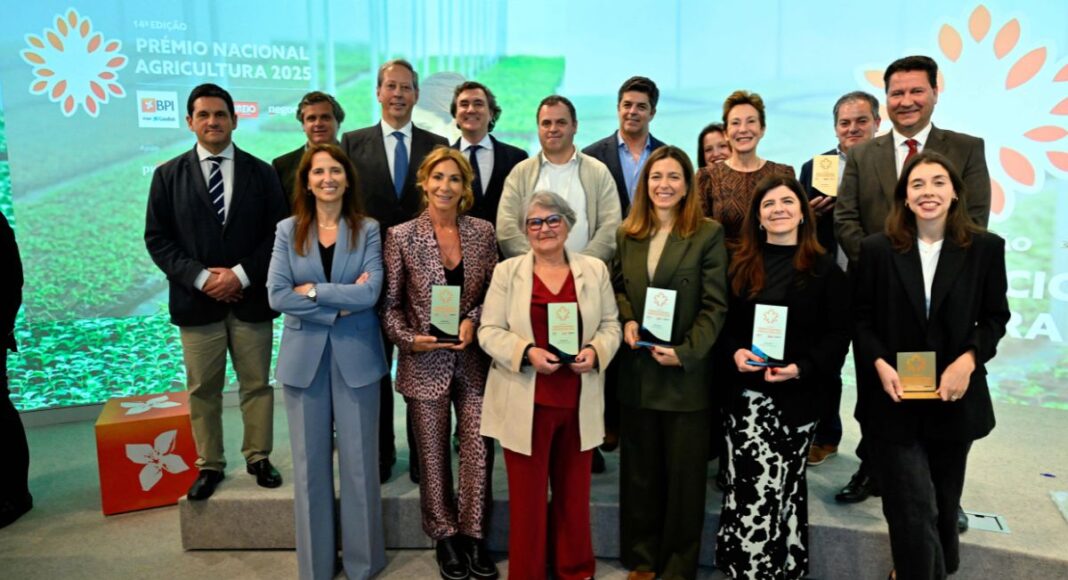 Alentejo em destaque no Prémio Nacional de Agricultura com projetos de Serpa e Beja