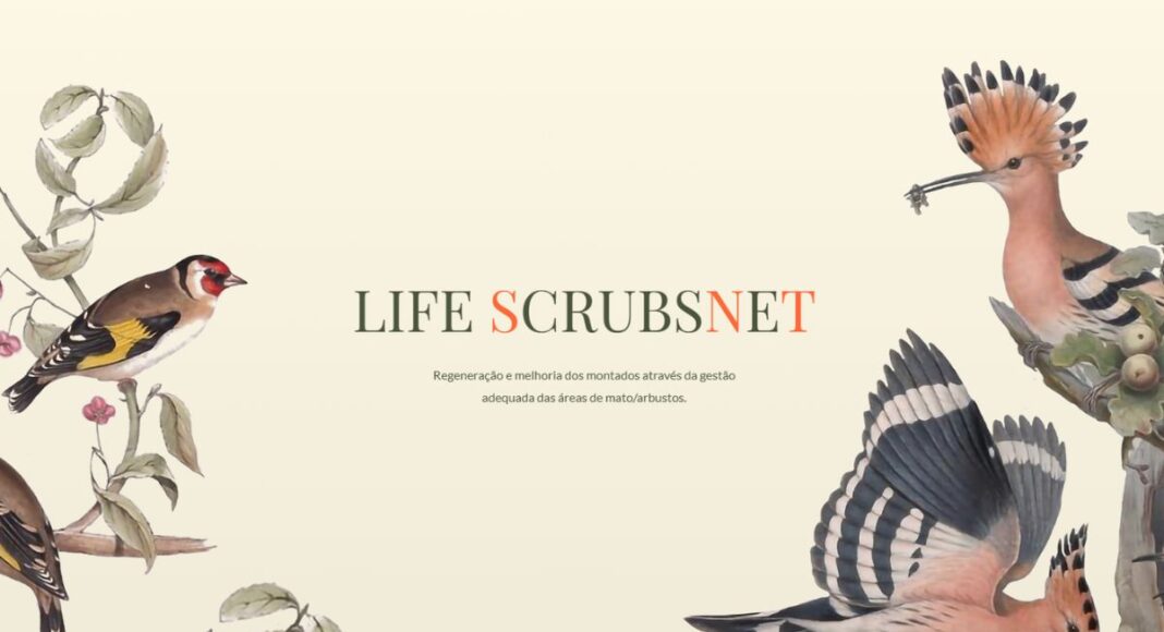 Projeto europeu LIFE ScrubsNet apresenta resultados em sessão aberta em Évora