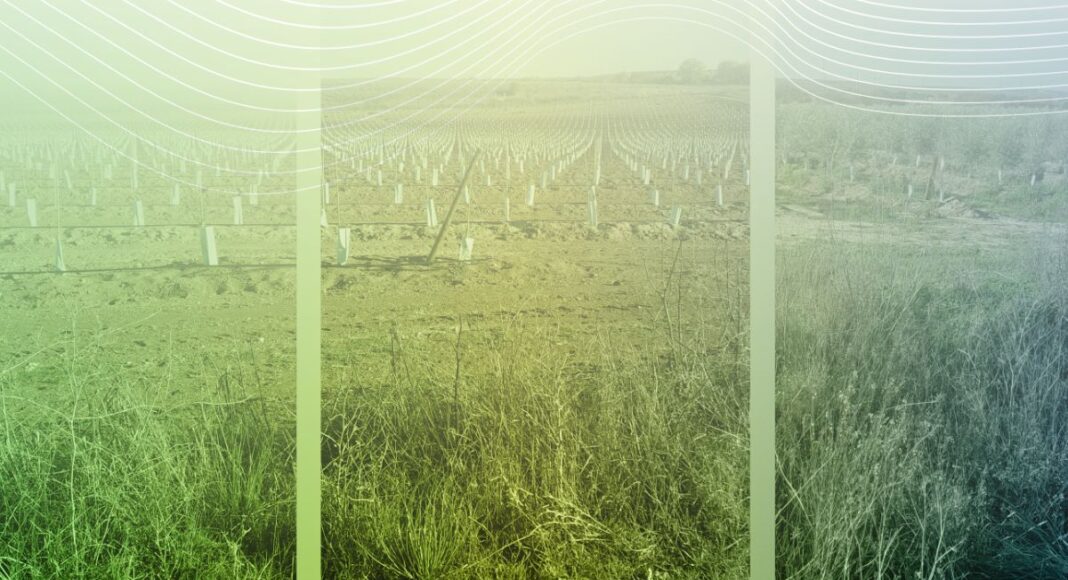 Beja: Projeto europeu promove debate sobre biodiversidade agrícola no Alqueva