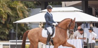 Cavaleiro de Portel soma vitórias internacionais em 2025 e destaca-se em provas de dressage