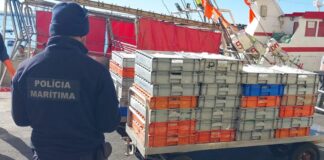 Polícia Marítima apreende cerca de uma tonelada de tamboril no porto de Sines
