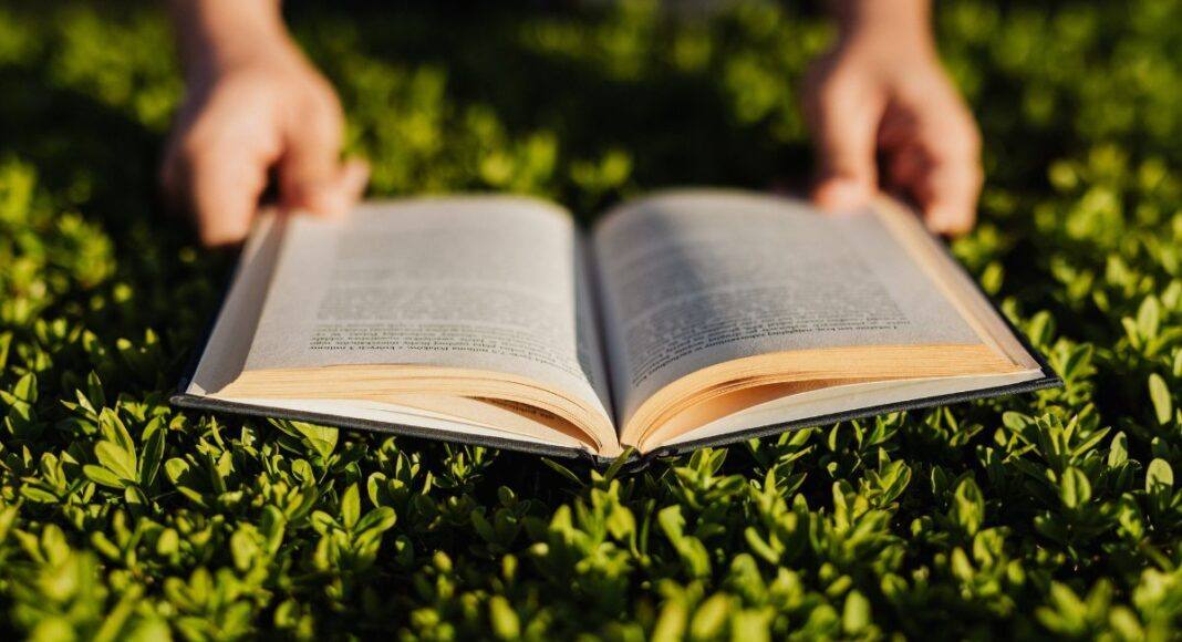 Há nova sessão do Clube de Leitura em Montoito (Redondo)