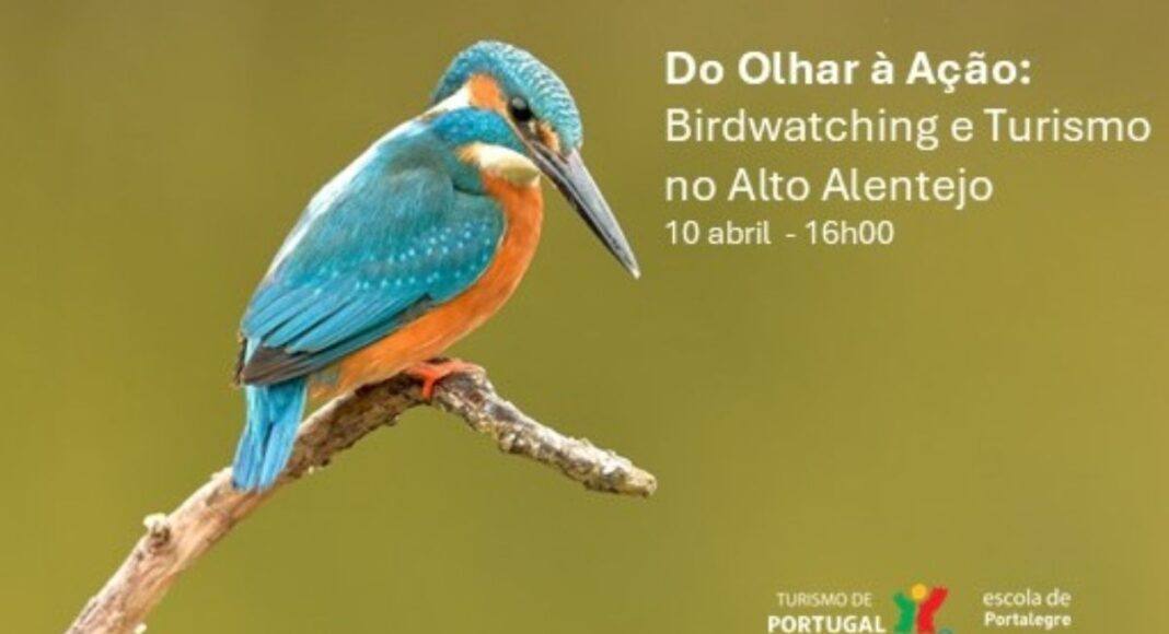 Birdwatching ganha destaque no Alto Alentejo com evento na Escola de Hotelaria de Portalegre