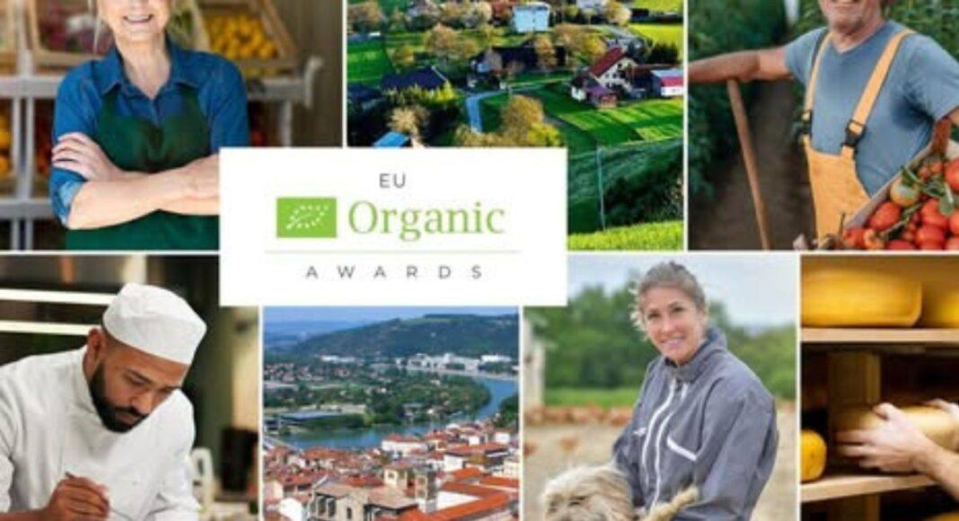 Cinco municípios do Alentejo avançam com projeto de três anos para gestão sustentável