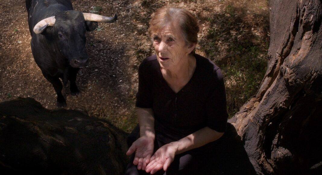 Marta Mateus estreia longa-metragem inspirada nas memórias do Alentejo