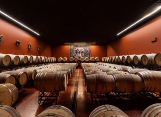 Quinta da Plansel produz 400.000 garrafas de vinho alentejano que já voa até Jamaica Quinta da Plansel produz 400.000 garrafas de vinho alentejano que já voa até Jamaica
