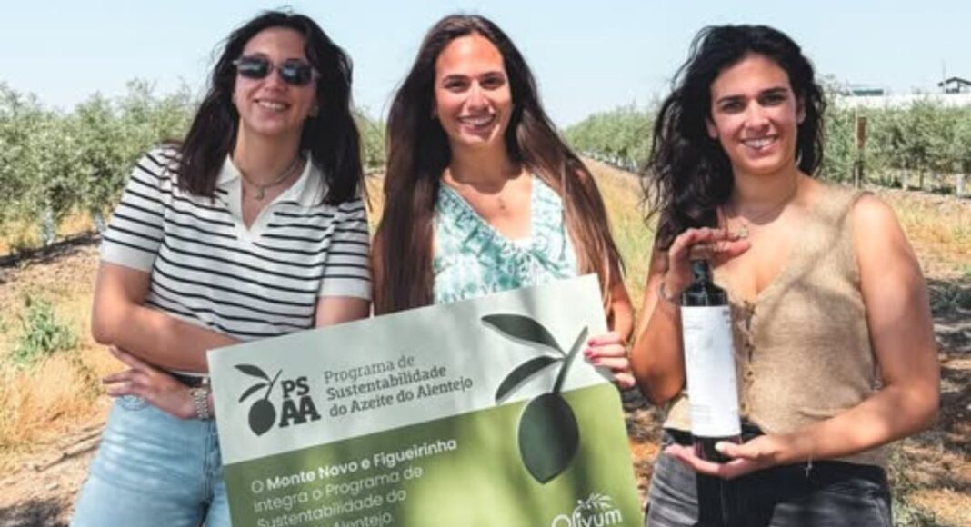 Beja: Figueirinha reforça aposta na sustentabilidade na produção de azeite