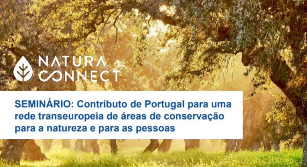 Ministra do Ambiente encerra seminário sobre biodiversidade e restauro da natureza em Évora