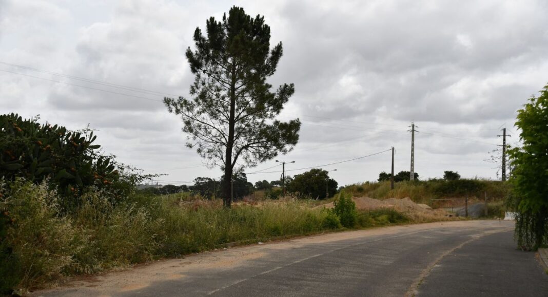 Autarquia de Santiago do Cacém adjudica obra de 3,6 milhões para habitação em Cercal do Alentejo