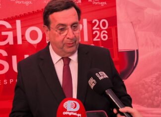 Cimeira Mundial do Enoturismo: Nuno Palma Ferro defende que Beja precisa de ganhar notoriedade internacional Cimeira Mundial do Enoturismo: Nuno Palma Ferro defende que Beja precisa de ganhar notoriedade internacional