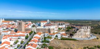 Prémios DECO: Avis conquista distinção nacional e Alentejo soma três reconhecimentos Avis