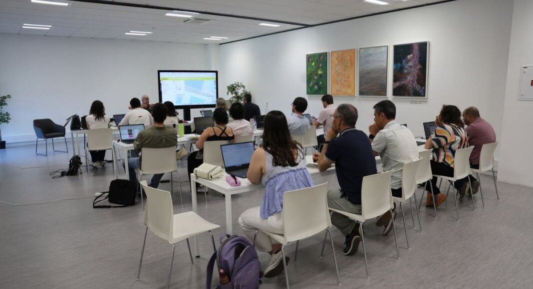 Municípios do Alentejo Central avançam com inventário do arvoredo urbano e plataforma digital para consulta pública
